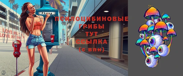 прущая мука Богданович