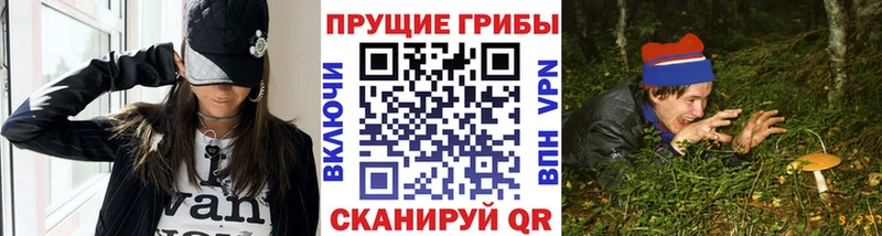 Галлюциногенные грибы Cubensis Купить где Чебаркуль